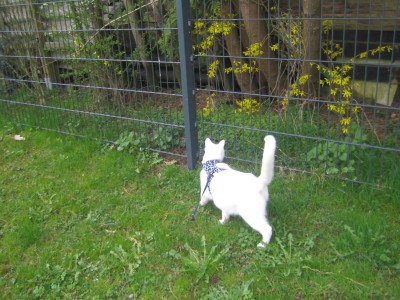 Urlaub 2011 im April 089.jpg