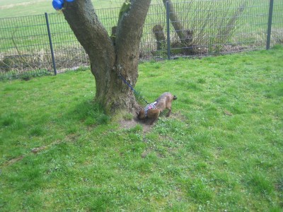 Urlaub 2011 im April 056.jpg