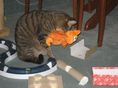 IMG_4335.jpg (76.69 KiB) 24214-mal betrachtet IMG_4335.jpg