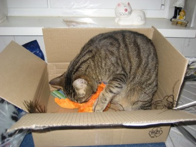 IMG_4323.jpg (79.33 KiB) 24207-mal betrachtet IMG_4323.jpg