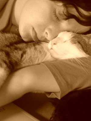 DSC00736.JPG (646.41 KiB) 6124-mal betrachtet DSC00736.JPG