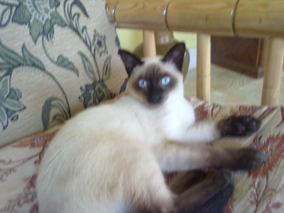 04052011461.jpg (187.24 KiB) 14227-mal betrachtet 04052011461.jpg