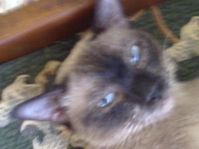 05072011585.jpg (132.9 KiB) 14055-mal betrachtet 05072011585.jpg