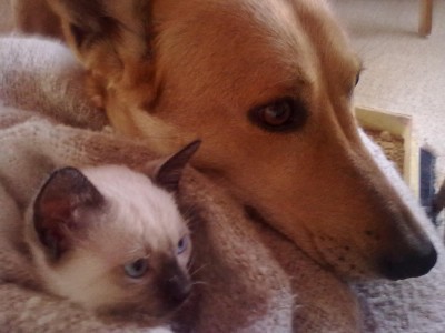 08012011347.jpg (180.16 KiB) 14228-mal betrachtet 08012011347.jpg