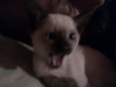 10012011356.jpg (84.6 KiB) 14058-mal betrachtet 10012011356.jpg