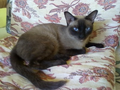 18062011513.jpg (252.24 KiB) 14058-mal betrachtet 18062011513.jpg