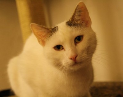 frederick300711.jpg (19.52 KiB) 7852-mal betrachtet frederick300711.jpg