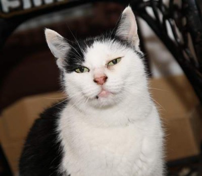 colette231010_2.jpg (27.46 KiB) 7847-mal betrachtet colette231010_2.jpg