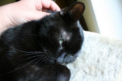 stupsi.jpg (35.55 KiB) 7853-mal betrachtet stupsi.jpg