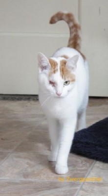 jacky1.jpg (14.86 KiB) 7847-mal betrachtet jacky1.jpg