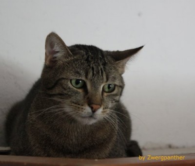 neo.jpg (25.11 KiB) 7852-mal betrachtet neo.jpg