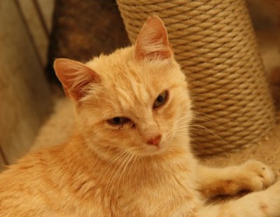 vivi.jpg (38.67 KiB) 7846-mal betrachtet vivi.jpg