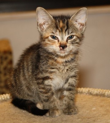 kiki030811_1.jpg (50.42 KiB) 7844-mal betrachtet kiki030811_1.jpg