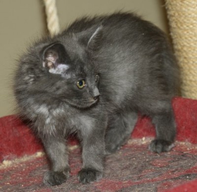 mila300811.jpg (45.61 KiB) 7855-mal betrachtet mila300811.jpg