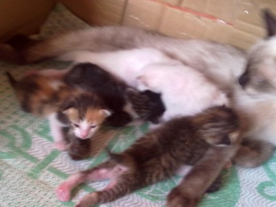 008.jpg (153.21 KiB) 11634-mal betrachtet 008.jpg