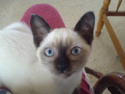 002.jpg (238.92 KiB) 6143-mal betrachtet 002.jpg