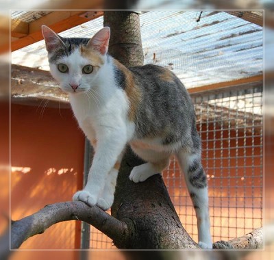 Fee10_fr.jpg (89.73 KiB) 18857-mal betrachtet Fee10_fr.jpg