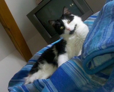 2011-08-28_13-36-26_784.jpg (562.81 KiB) 19589-mal betrachtet 2011-08-28_13-36-26_784.jpg