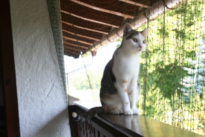 img_6673k7gk.jpg