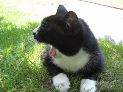 IMG_1624_1.jpg (84.68 KiB) 5956-mal betrachtet IMG_1624_1.jpg