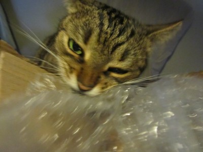 IMG_2344.jpg (111.18 KiB) 6825-mal betrachtet IMG_2344.jpg