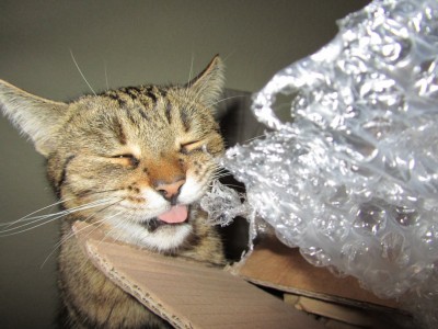 IMG_2343.jpg (164.48 KiB) 6824-mal betrachtet IMG_2343.jpg