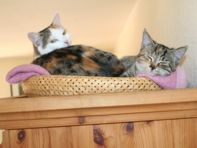 img_67917eha.jpg (84.62 KiB) 18866-mal betrachtet img_67917eha.jpg