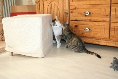 img_6745q3sl.jpg (205.86 KiB) 19107-mal betrachtet img_6745q3sl.jpg