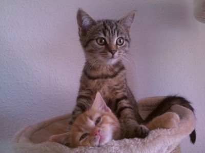 WP_000187.jpg (777.75 KiB) 5791-mal betrachtet WP_000187.jpg