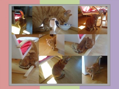 Präsentation1.jpg (66.27 KiB) 31082-mal betrachtet Präsentation1.jpg