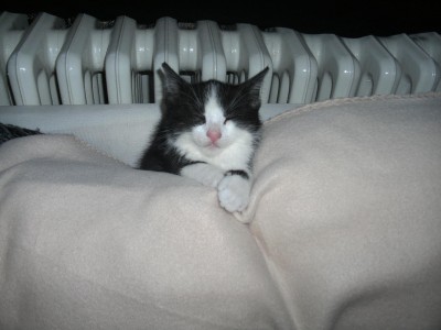 testbild3.JPG
