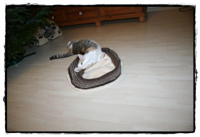 IMG_7586.JPG