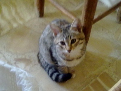 24.12.2011 021.jpg