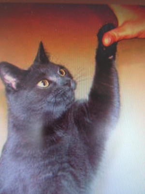 IMG_0025.jpg (144.75 KiB) 5857-mal betrachtet IMG_0025.jpg