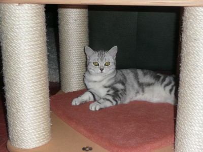 Maja1a.jpg (109.58 KiB) 14090-mal betrachtet Maja1a.jpg