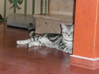 Marly1a.jpg (87.62 KiB) 13923-mal betrachtet Marly1a.jpg