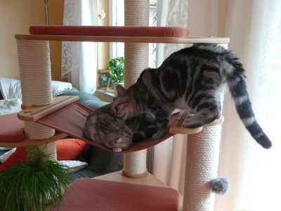 Marly2a.jpg (97.16 KiB) 14643-mal betrachtet Marly2a.jpg