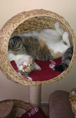 IMAG0140-1.jpg