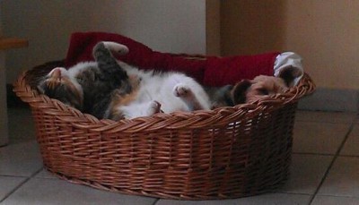 IMG-20120521-WA0001-1.jpg