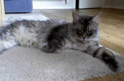 Snapshot_20120517.jpg