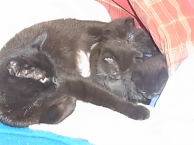 hosen und minis 011.JPG