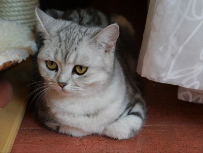 maja 1952012.jpg (82.92 KiB) 14352-mal betrachtet maja 1952012.jpg