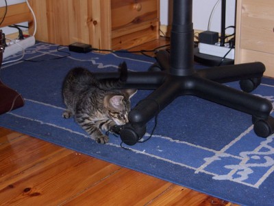 100_0335.jpg
