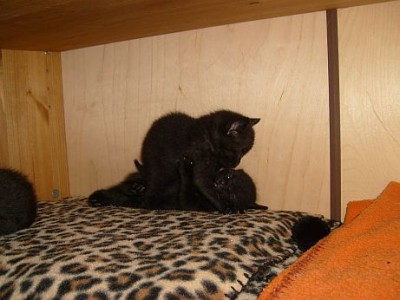 S7303050.jpg