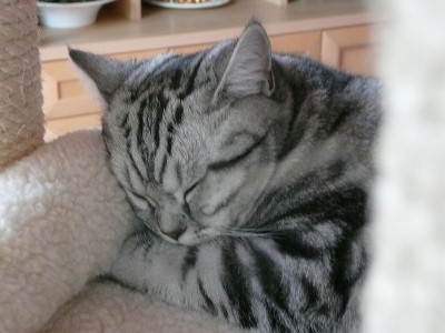 090612.jpg (93.35 KiB) 6987-mal betrachtet 090612.jpg