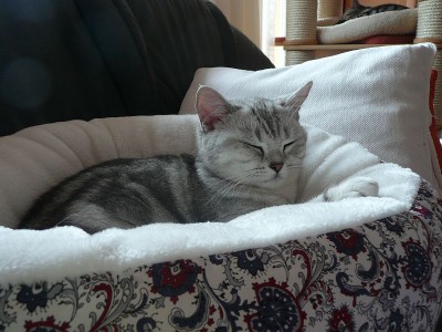 090612b.jpg (112.82 KiB) 6983-mal betrachtet 090612b.jpg