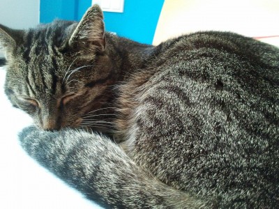 2012-06-11 12.44.39kl.jpg (328.93 KiB) 7111-mal betrachtet 2012-06-11 12.44.39kl.jpg