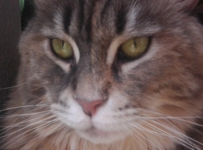 004.jpg (263.35 KiB) 14845-mal betrachtet 004.jpg