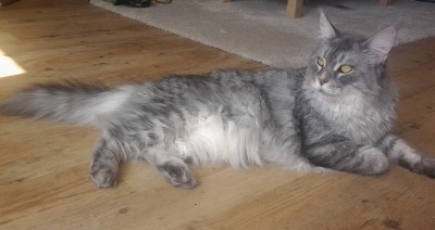 013.jpg (454.13 KiB) 15197-mal betrachtet 013.jpg