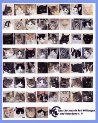 comp_Porträtposter1.jpg (68.34 KiB) 7304-mal betrachtet comp_Porträtposter1.jpg